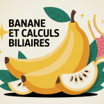 illustration banane et calcul biliaire vésicule digestive