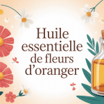 huile essentielle de fleurs d'oranger flacon et fleurs illustration