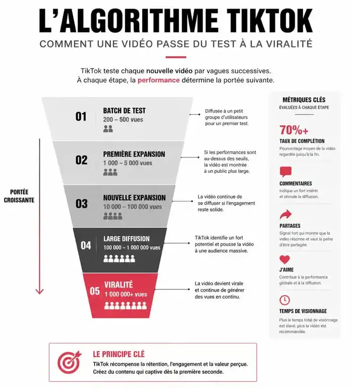 Infographie expliquant le fonctionnement de l'algorithme pour booster TikTok et augmenter sa visibilité